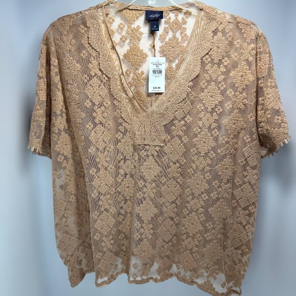 Daytrip Tan Sheer Embroidered Lace V-Neck Oversized Top - Picture 1 of 6